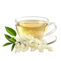 Lilac Flower And Leaves and Cup of Tea on Transparent Background png