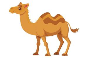 A cartoon illustration of a smiling camel with two humps on its back and a tuft of hair on its tail. vector