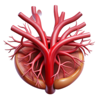 3D Illustration of an Organ with a Network of Vessels png