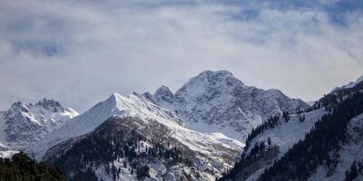 Panoramic View of Snow-Capped Mountain Peaks with Evergreen Forests photo