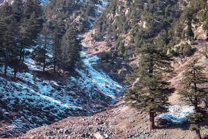 Snow-Dusted Mountain Path with Pine Trees and Rocky Slopes photo