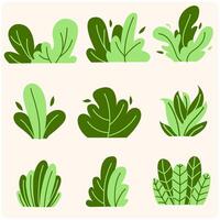 Set of bush illustration on a cream background vector