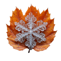 Close-Up of Autumn Leaf with Snowflake Pattern and Water Droplets png