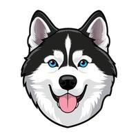 A siberian husky dog with blue eyes vector