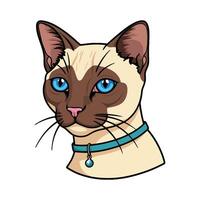 A siamese cat with blue eyes and a collar vector