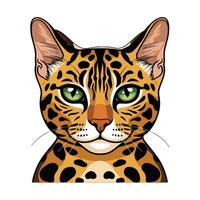 The face of a cat with green eyes vector