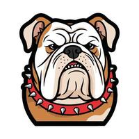 A bulldog dog with a red collar and spikes vector