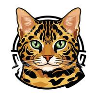 A cat with green eyes and a white background vector
