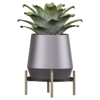 3d Rendering Of Pineapple plant in planter on Transparent Canvas png