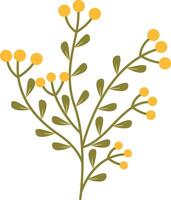 Spring Flower Illustration in Yellow Color vector
