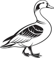 Graceful Duck Silhouette vector