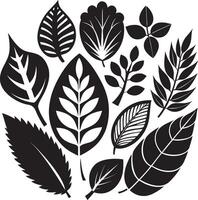 Elegant Botanical Leaf Patterns vector