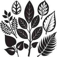 Modern Black Leaf Patterns Pack vector