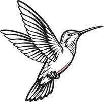 Dynamic Hummingbird Silhouette vector