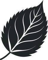 Elegant Black Leaf Silhouettes and Patterns vector