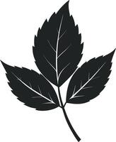 Decorative Botanical Silhouettes vector