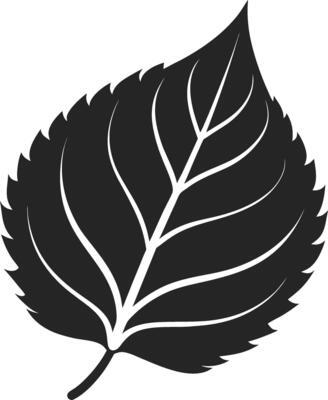 Elegant Black Foliage Designs