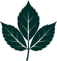 Modern Botanical Silhouette Collection vector