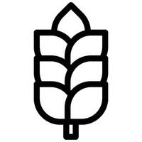 harvest wheat grain icon vector
