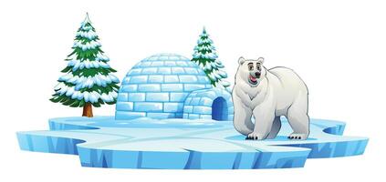 Polar bear walking near an igloo and snow covered pine trees on an icy platform. Cartoon illustration vector