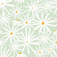Seamless Pattern of White Daisy Flowers on a Light Green Background vector