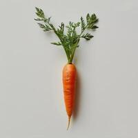 Fresh carrots on a white background with parsley sprouts. photo
