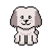 Pixel art cute shih tzu dog in retro style vector