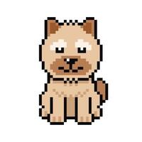 Pixel art shih tzu dog in retro style vector