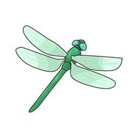 Illustration of dragonfly vector