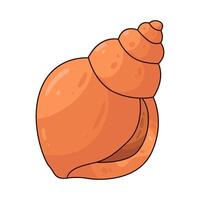 Illustration of shell vector