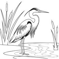 a heron standing in the water coloring page vector