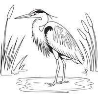 a drawing of a heron standing in the water vector
