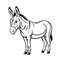 hand drawn illustration of a standing donkey vector