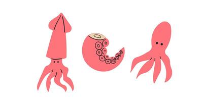 Set of Squid and calamar isolated on white background. Fresh seafood, raw squid fillet ready for cooking. illustration in cartoon flat style. vector