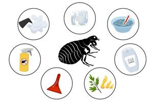 Different methods for fighting fleas infestation like steam cleaning, freezing, washing at high temperature, specific shampoo and folk remedies vector