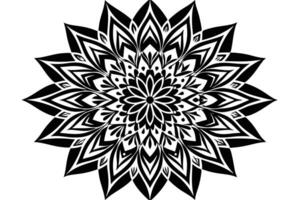 Mandala background design template vector