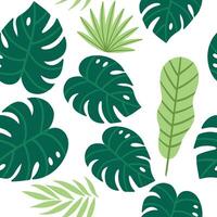 tropical leaves background, leaves pattern, tropical seamless pattern vector