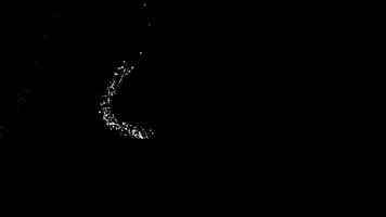 branco luz partícula trilhas. elegante brilho movimento gráficos efeito animação. video