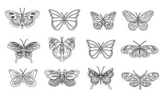 Linear flat butterfly outline collection butterfly Outline design vector