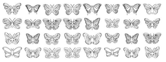 Butterfly outline with linear flat details collection Butterfly outline design vector