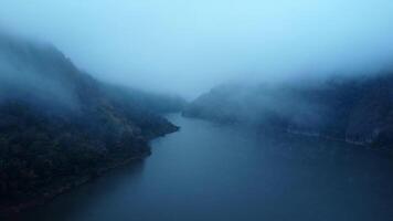 Aerial view of beautiful fog on the lake in the morning. Fresh early morning in the forest near the river. Beautiful sunrise in the forest with fog. video