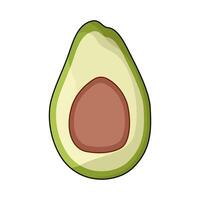 illustration of avocado vector