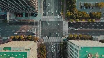 Rotate Overlap Lower Thirds motion_graphic
