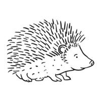 a hedgehog is shown in a black and white drawing vector