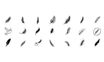 feathers handdrawn collection vector