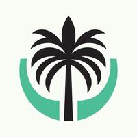 Palm tree isolated on white vector
