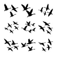 Set of Geese in Flight Silhouette Vectors - High-Quality Illustrations