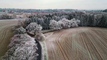 Aerial descending view of frozen park and trees and field in Czechia in December 2024 video