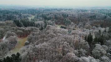 Aerial side view of park and frozen trees in Czechia in December 2024 video