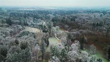 Aerial backwards view of park and frozen trees in Czechia in December 2024 video